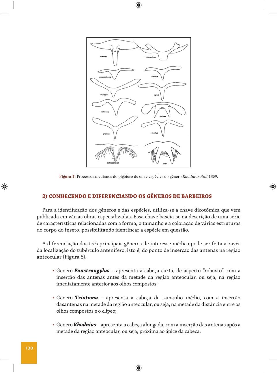 Essa chave baseia-se na descrição de uma série de características relacionadas com a forma, o tamanho e a coloração de várias estruturas do corpo do inseto, possibilitando identificar a espécie em