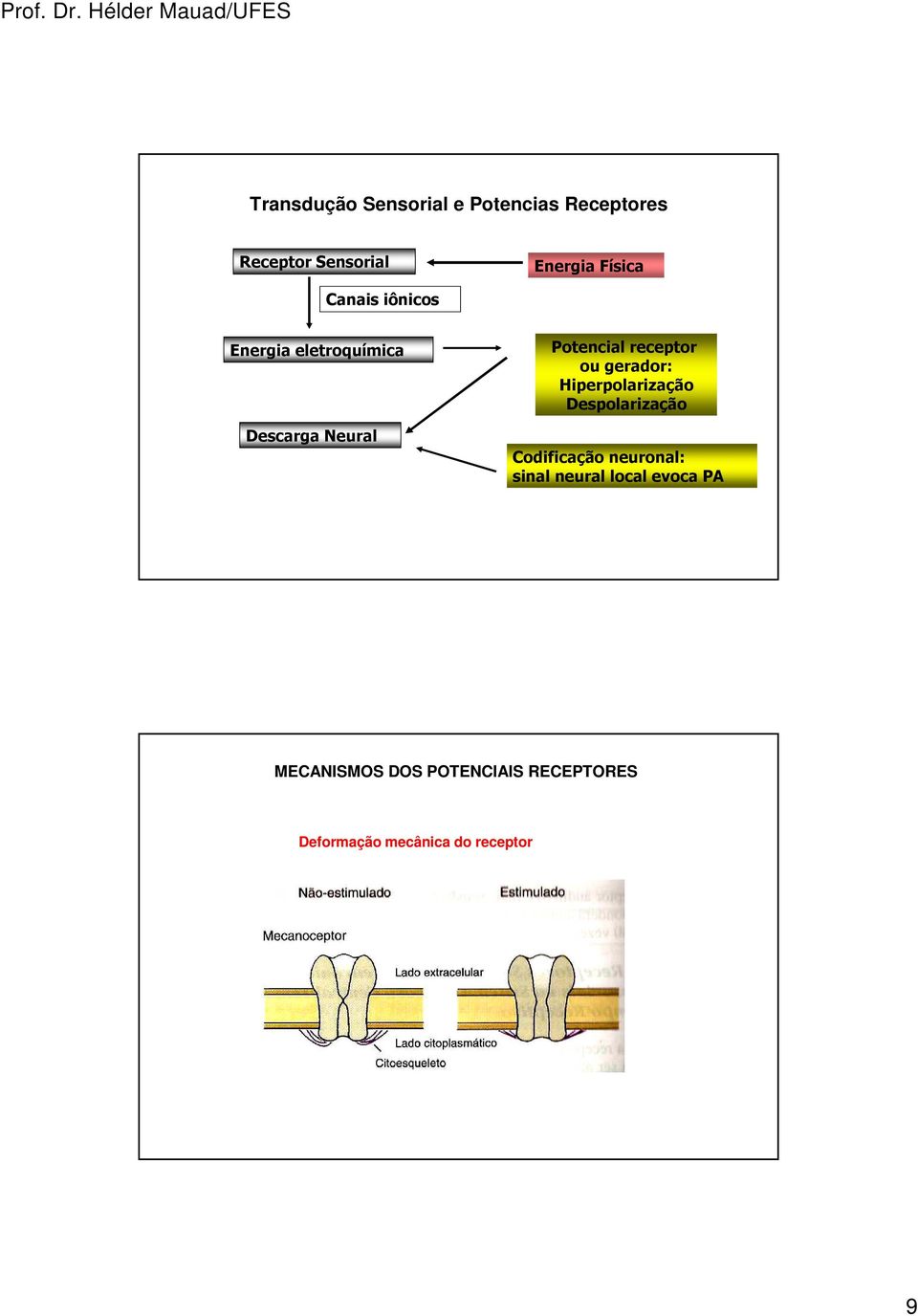 gerador: Hiperpolarização Despolarização Codificação neuronal: sinal neural