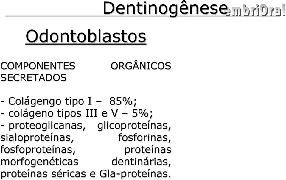 proteoglicanas, glicoproteínas, sialoproteínas, fosforinas,