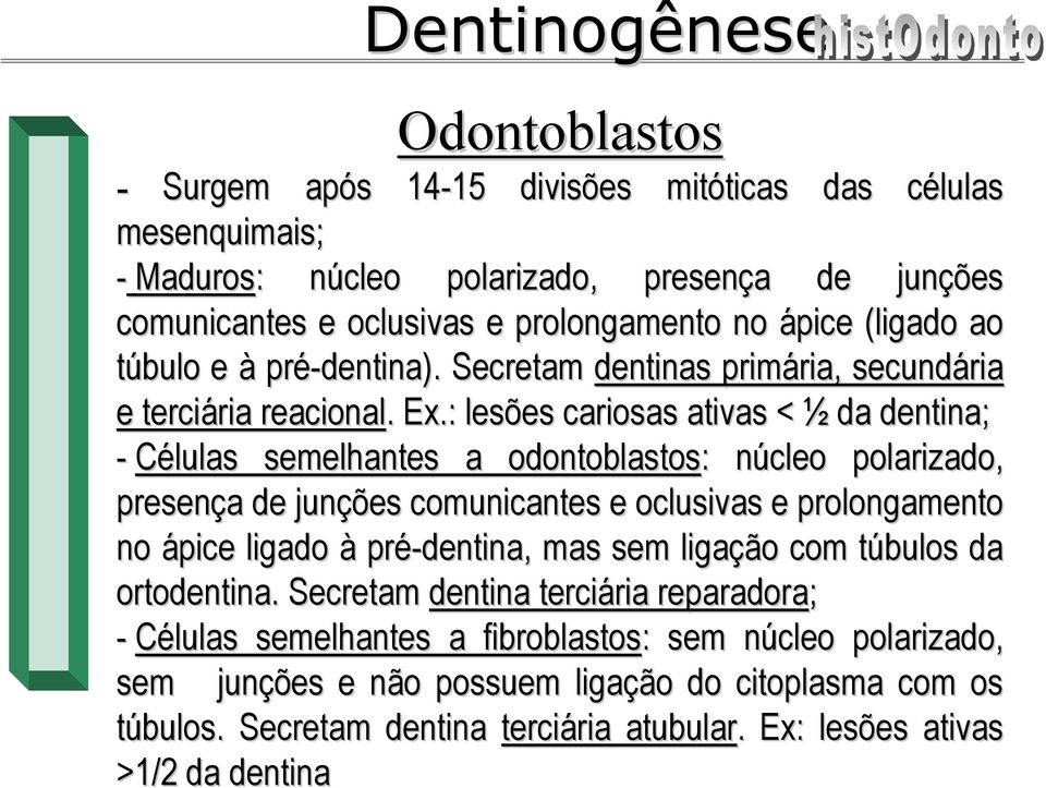 : lesões cariosas ativas < ½ da dentina; - Células semelhantes a odontoblastos: núcleo polarizado, presença de junções comunicantes e oclusivas e prolongamento no ápice ligado à pré-dentina,