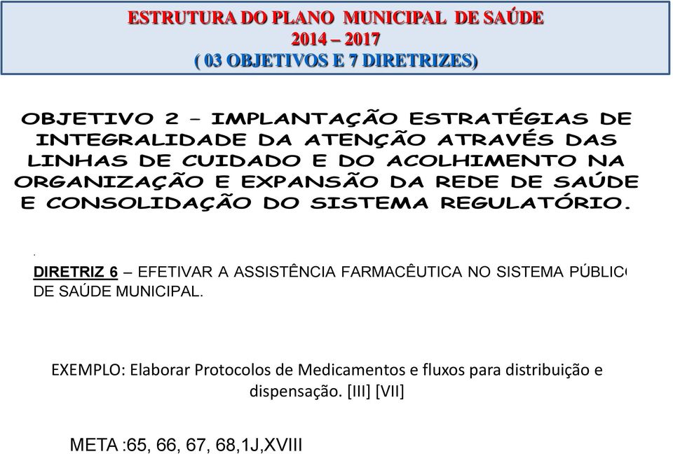 . DIRETRIZ 6 EFETIVAR A ASSISTÊNCIA FARMACÊUTICA NO SISTEMA PÚBLICO DE SAÚDE MUNICIPAL.