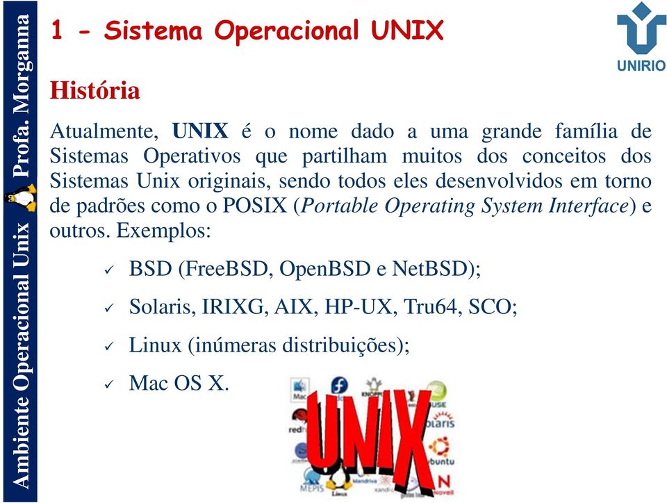 desenvolvidos em torno de padrões como o POSIX (Portable Operating System Interface) e outros.