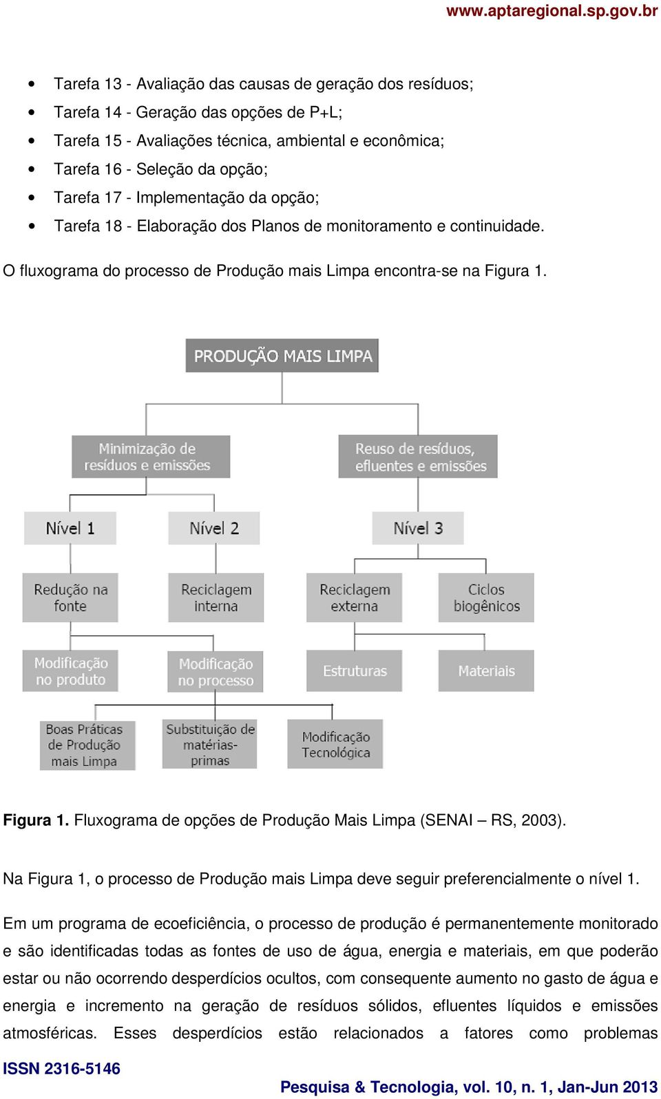 Figura 1. Fluxograma de opções de Produção Mais Limpa (SENAI RS, 2003). Na Figura 1, o processo de Produção mais Limpa deve seguir preferencialmente o nível 1.