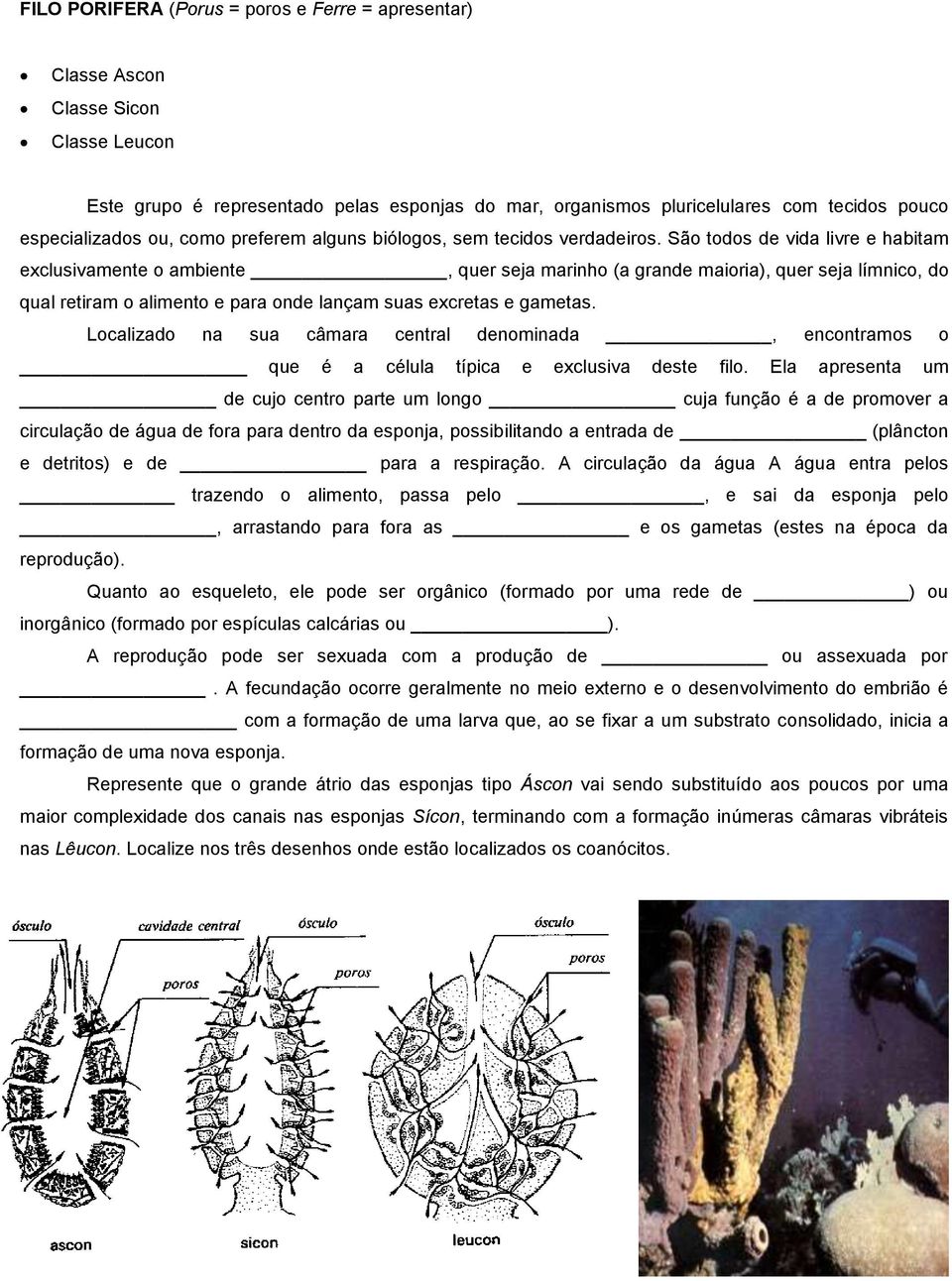 São todos de vida livre e habitam exclusivamente o ambiente, quer seja marinho (a grande maioria), quer seja límnico, do qual retiram o alimento e para onde lançam suas excretas e gametas.