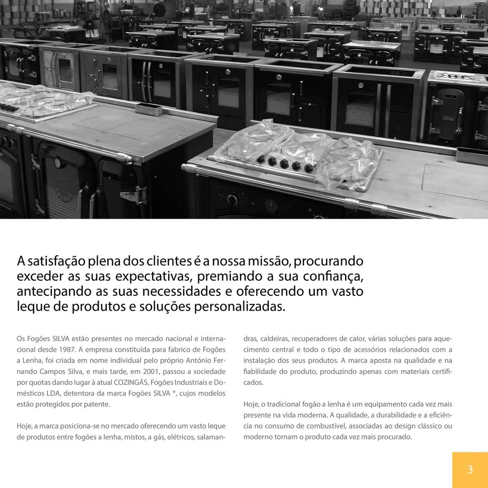 A empresa constituída para fabrico de Fogões a, foi criada em nome individual pelo próprio António Fernando Campos Silva, e mais tarde, em 2001, passou a sociedade por quotas dando lugar à atual