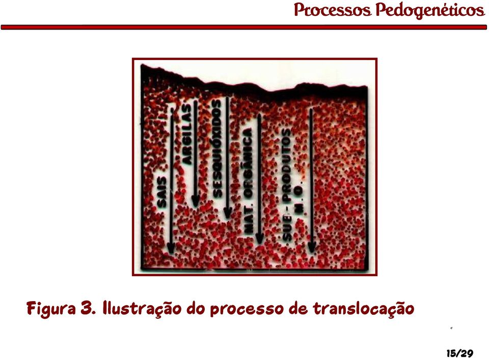 processo de