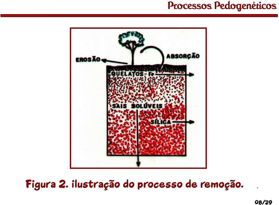 do processo