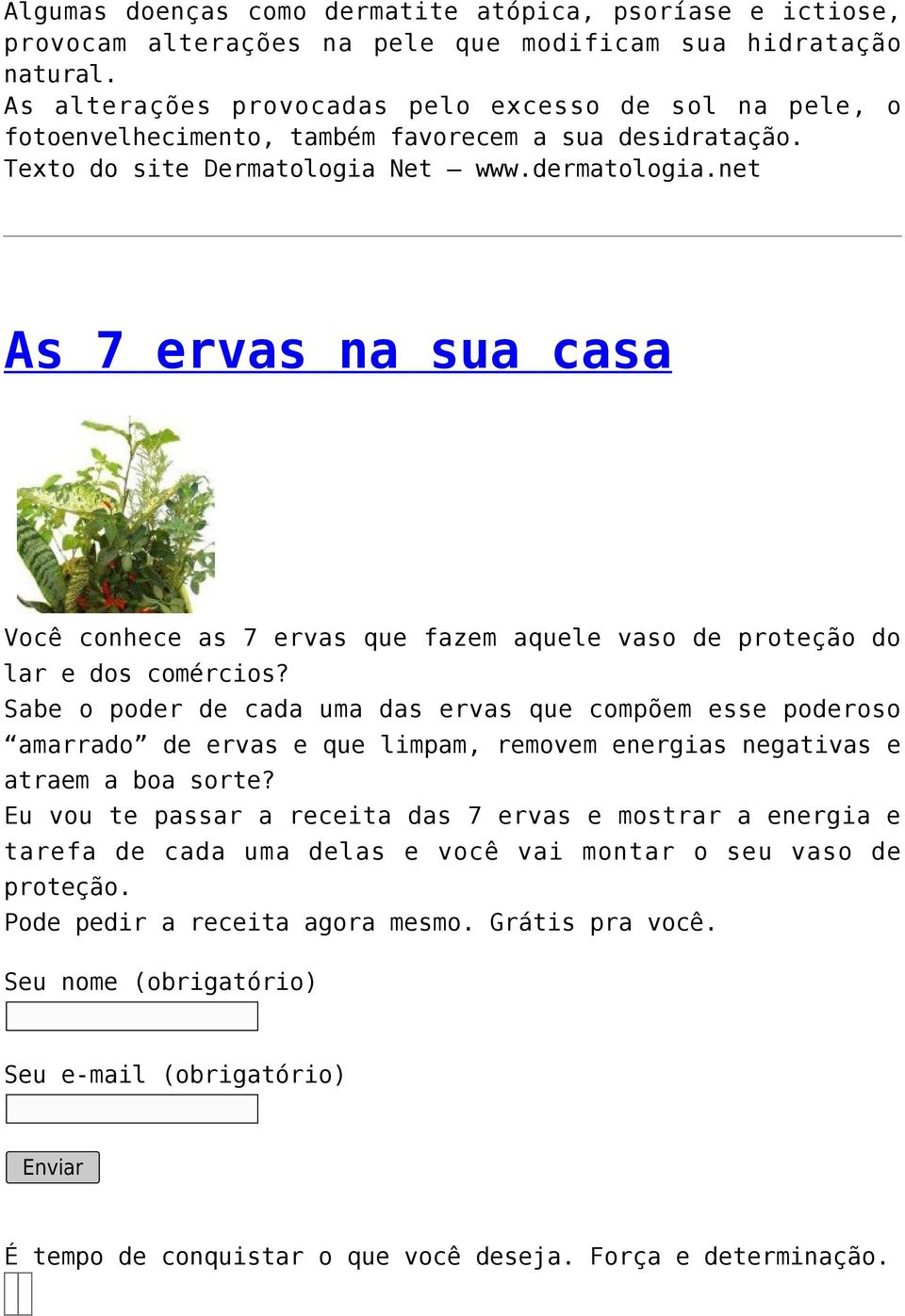 net As 7 ervas na sua casa Você conhece as 7 ervas que fazem aquele vaso de proteção do lar e dos comércios?