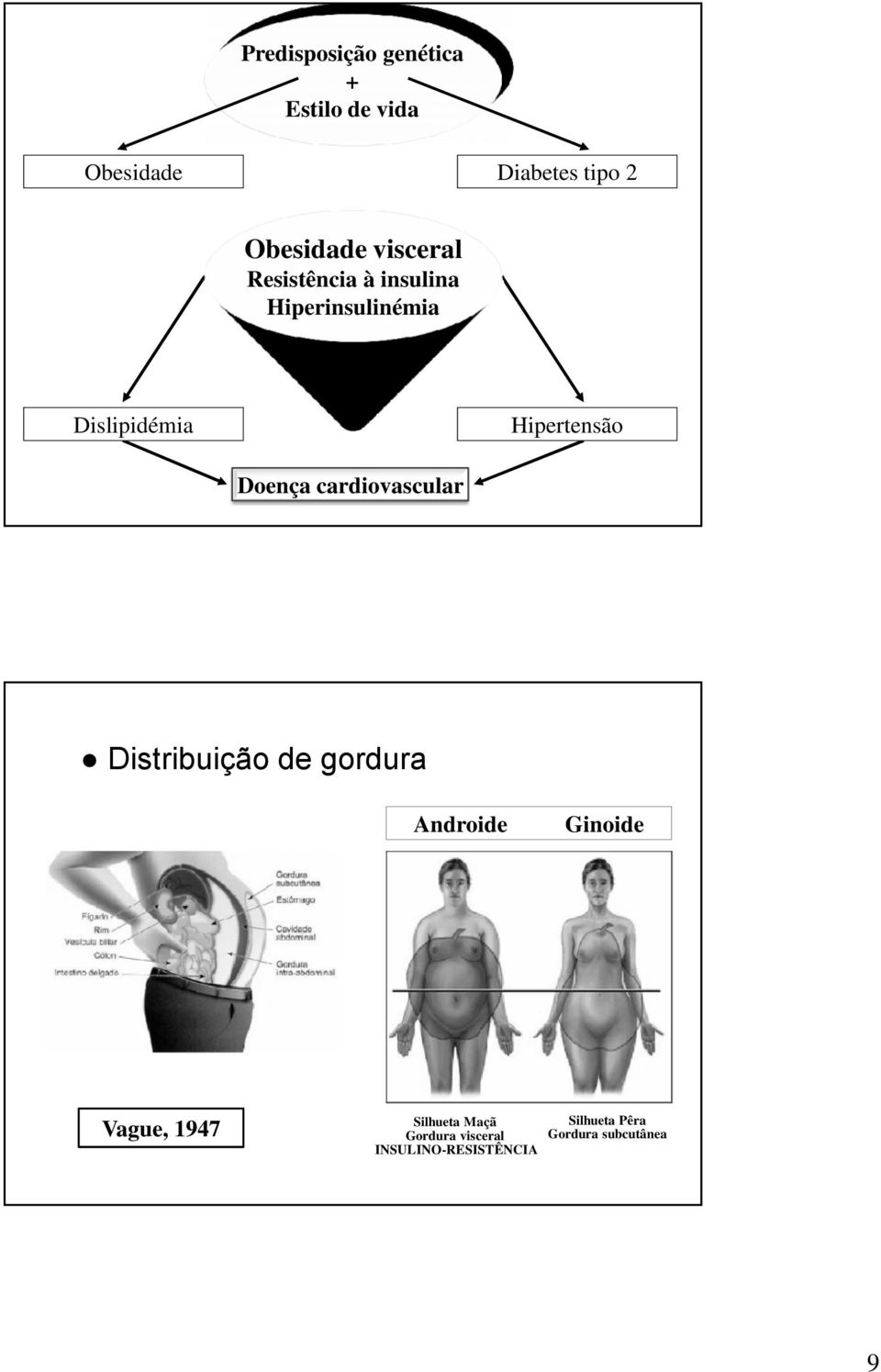 Doença cardiovascular Distribuição de gordura Androide Vague, 1947 Ginoide