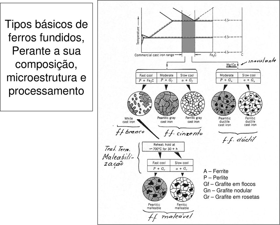 processamento A Ferrite P Perlite Gf