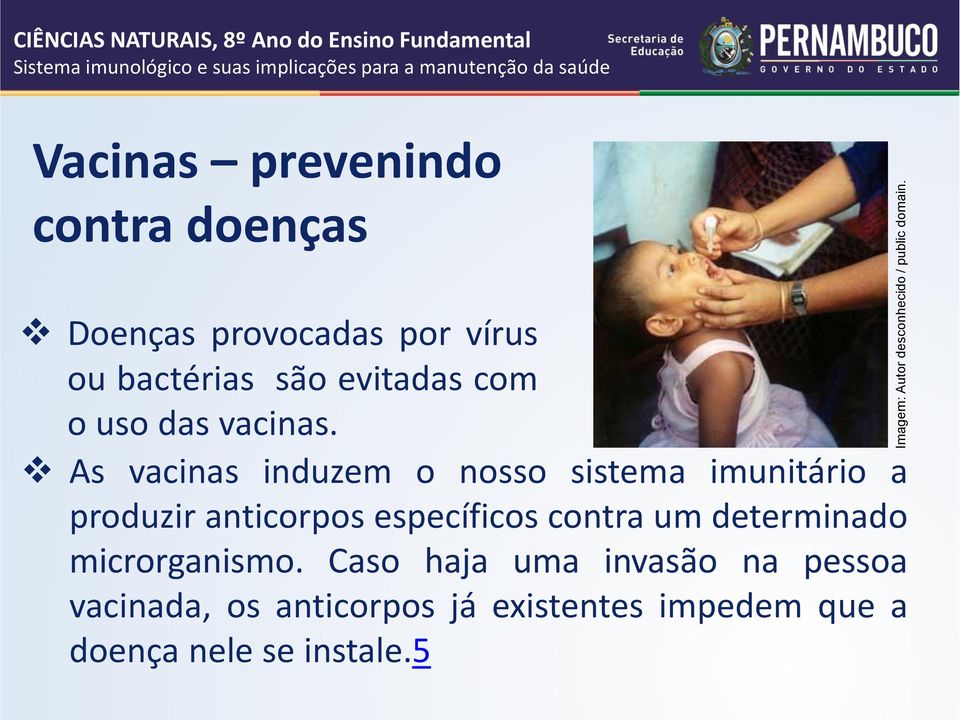 vírus ou bactérias são evitadas com o uso das vacinas.