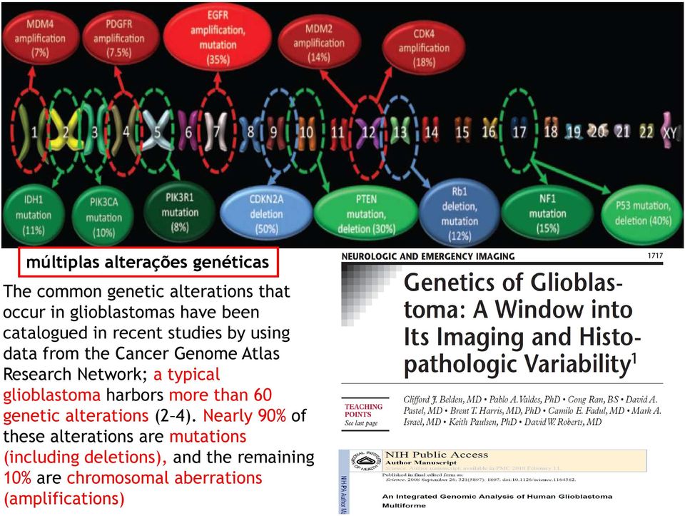 typical glioblastoma harbors more than 60 genetic alterations (2 4).