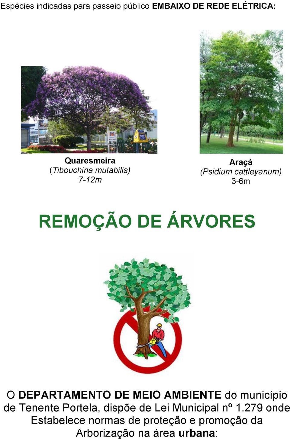 DEPARTAMENTO DE MEIO AMBIENTE do município de Tenente Portela, dispõe de Lei