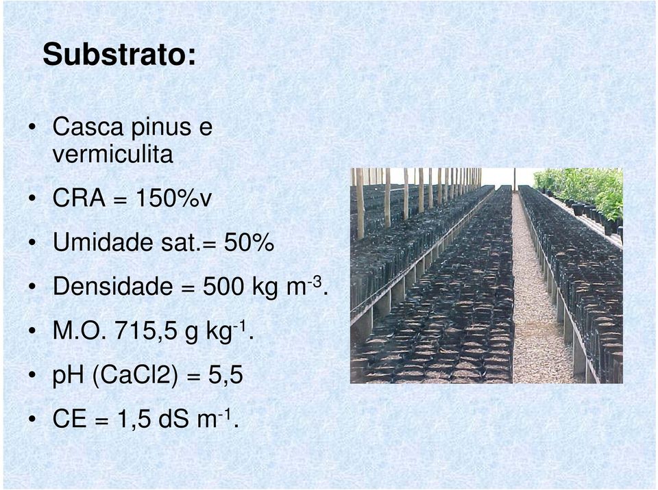 = 50% Densidade = 500 kg m -3. M.O.