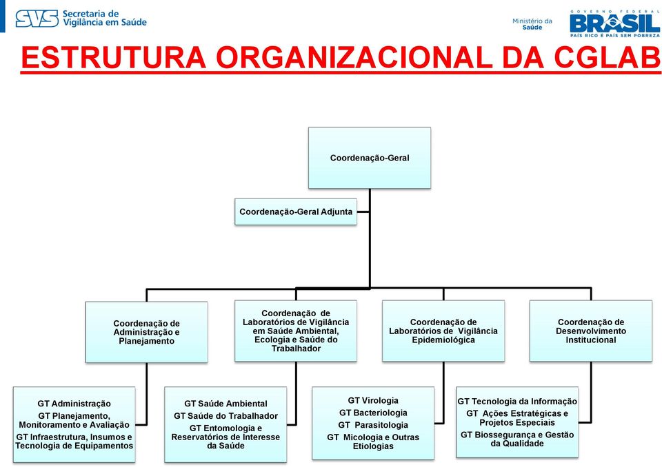 Monitoramento e Avaliação GT Infraestrutura, Insumos e Tecnologia de Equipamentos GT Saúde Ambiental GT Saúde do Trabalhador GT Entomologia e Reservatórios de Interesse da Saúde