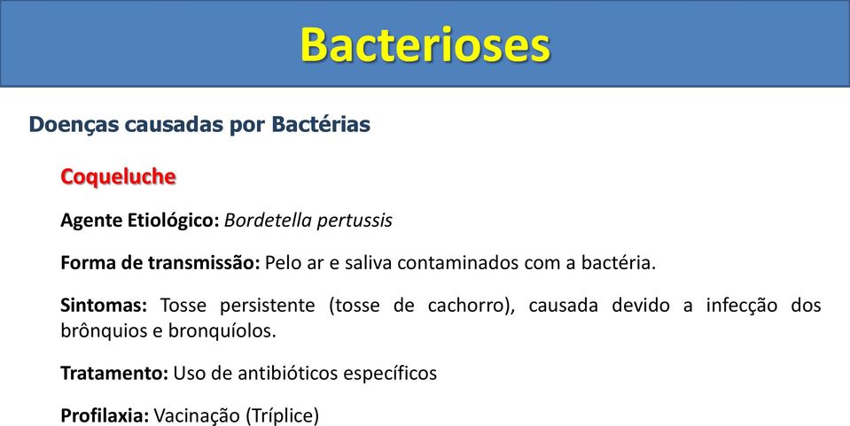 Sintomas: Tosse persistente (tosse de cachorro), causada devido a infecção