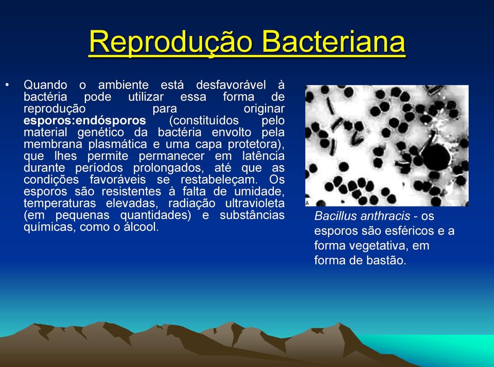 períodos prolongados, até que as condições favoráveis se restabeleçam.