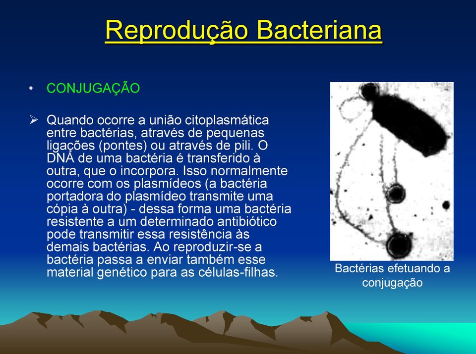 Isso normalmente ocorre com os plasmídeos (a bactéria portadora do plasmídeo transmite uma cópia à outra) - dessa forma uma bactéria