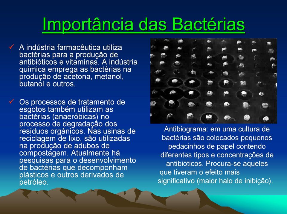 Os processos de tratamento de esgotos também utilizam as bactérias (anaeróbicas) no processo de degradação dos resíduos orgânicos.