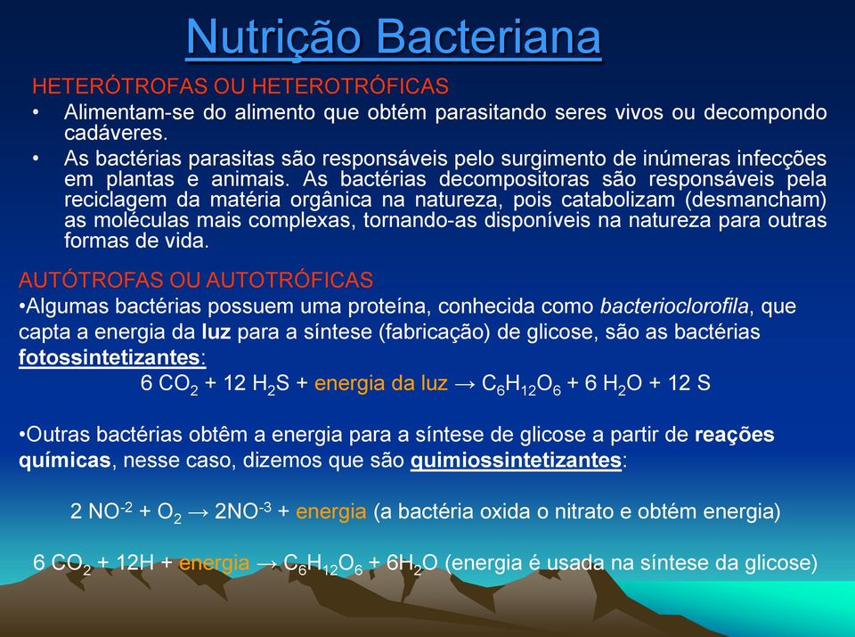 As bactérias decompositoras são responsáveis pela reciclagem da matéria orgânica na natureza, pois catabolizam (desmancham) as moléculas mais complexas, tornando-as disponíveis na natureza para