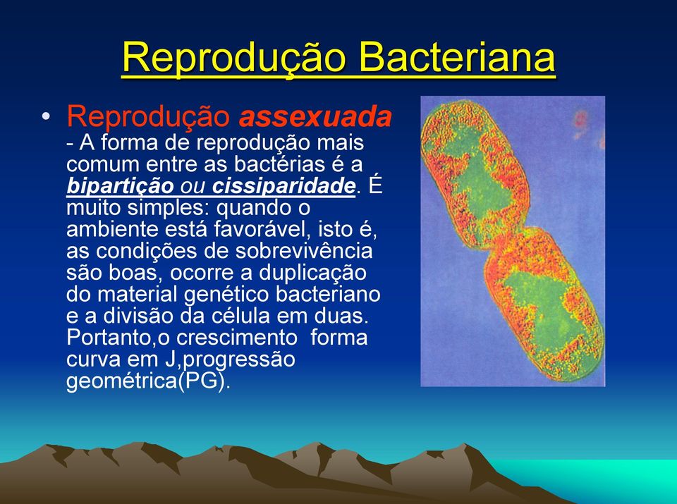 É muito simples: quando o ambiente está favorável, isto é, as condições de sobrevivência são