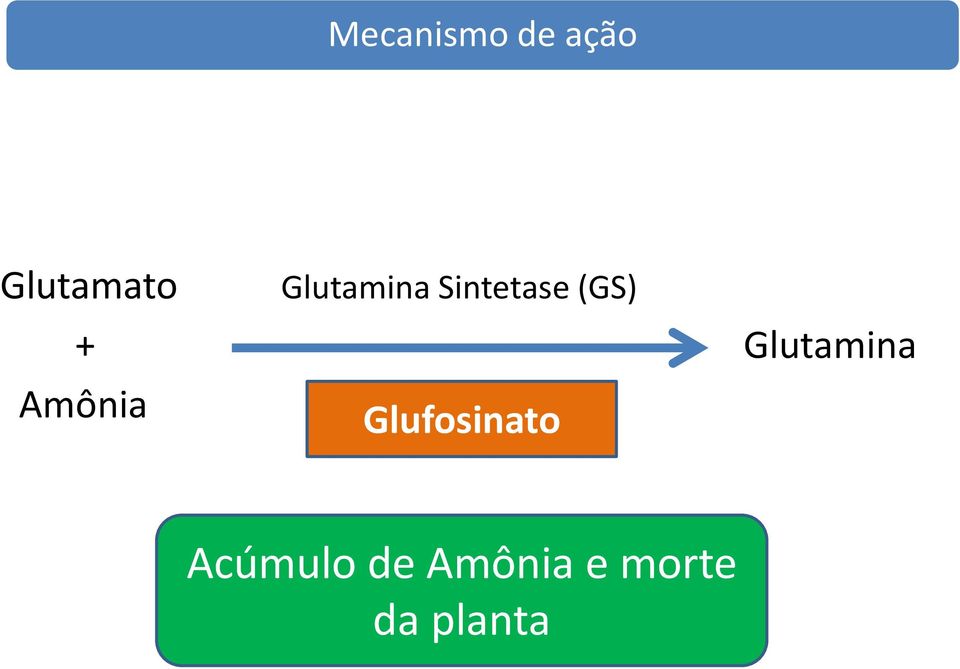 Glutamina Amônia Glufosinato