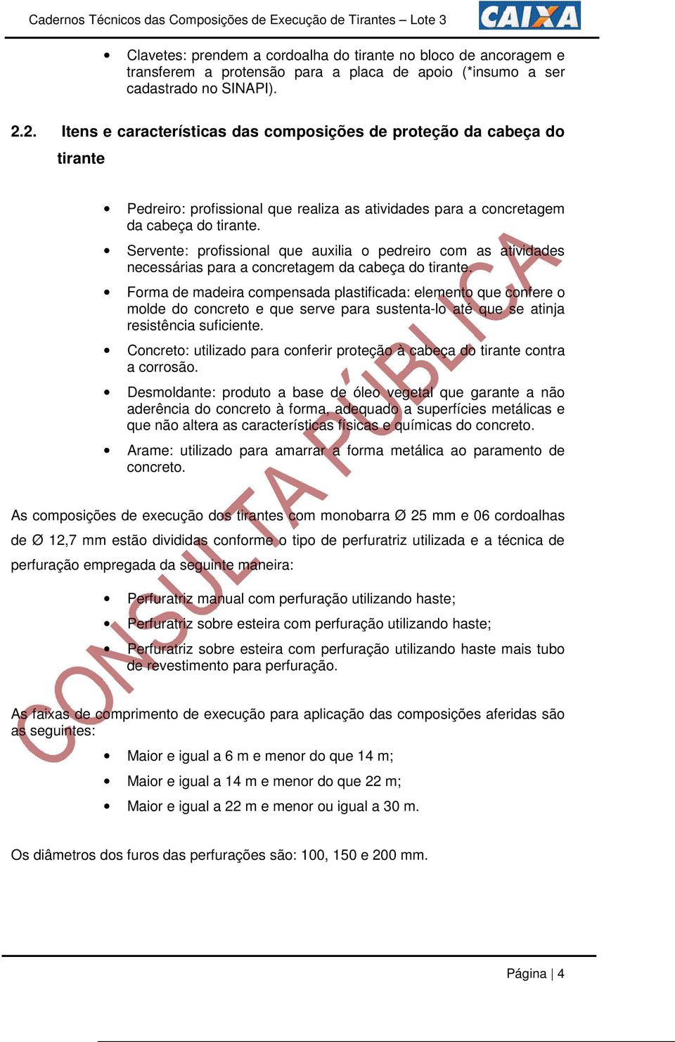 Servente: profissional que auxilia o pedreiro com as atividades necessárias para a concretagem da cabeça do tirante.