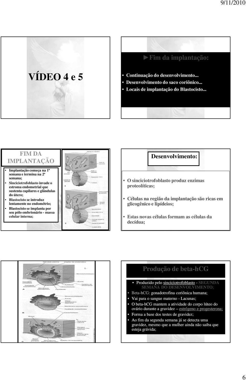 lentamente no endométrio; Blastocisto se implanta por seu pólo embrionário - massa celular interna; Desenvolvimento: O sinciciotrofoblasto produz enzimas proteolíticas; Células na região da
