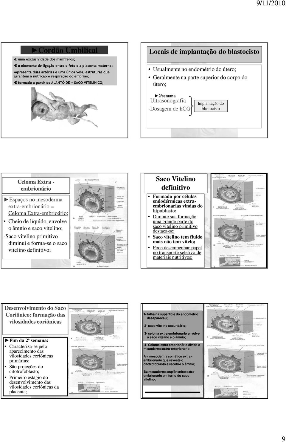 2ªsemana -Ultrasonografia -Dosagem de hcg Implantação do blastocisto Celoma Extra - embrionário Espaços no mesoderma extra-embrionário = Celoma Extra-embrioário; Cheio de líquido, envolve o âmnio e