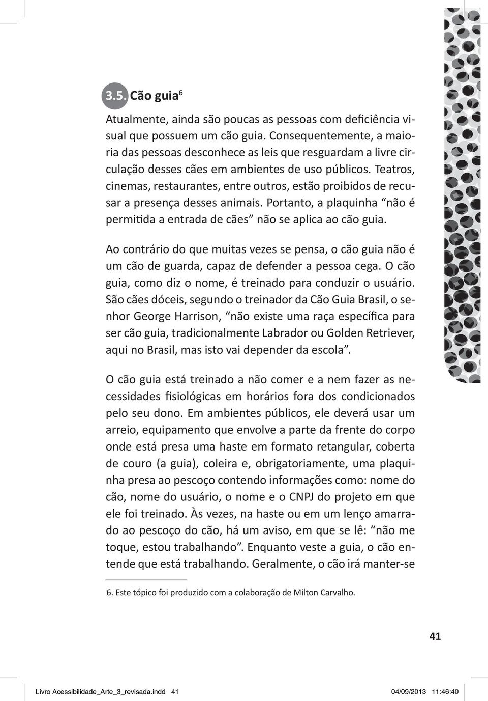 Teatros, cinemas, restaurantes, entre outros, estão proibidos de recusar a presença desses animais. Portanto, a plaquinha não é permitida a entrada de cães não se aplica ao cão guia.