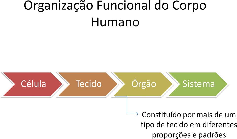 Constituído por mais de um tipo de