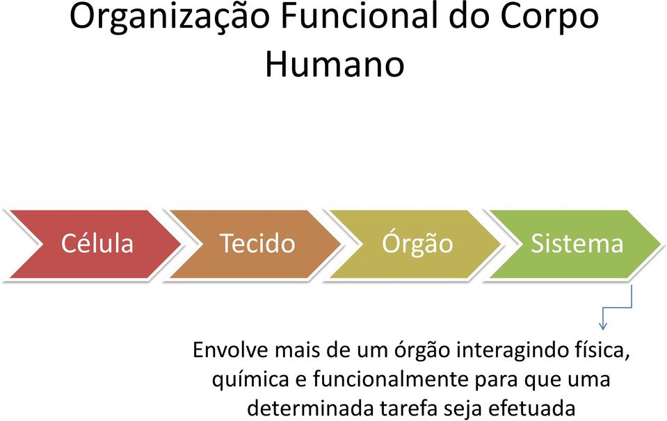 interagindo física, química e funcionalmente