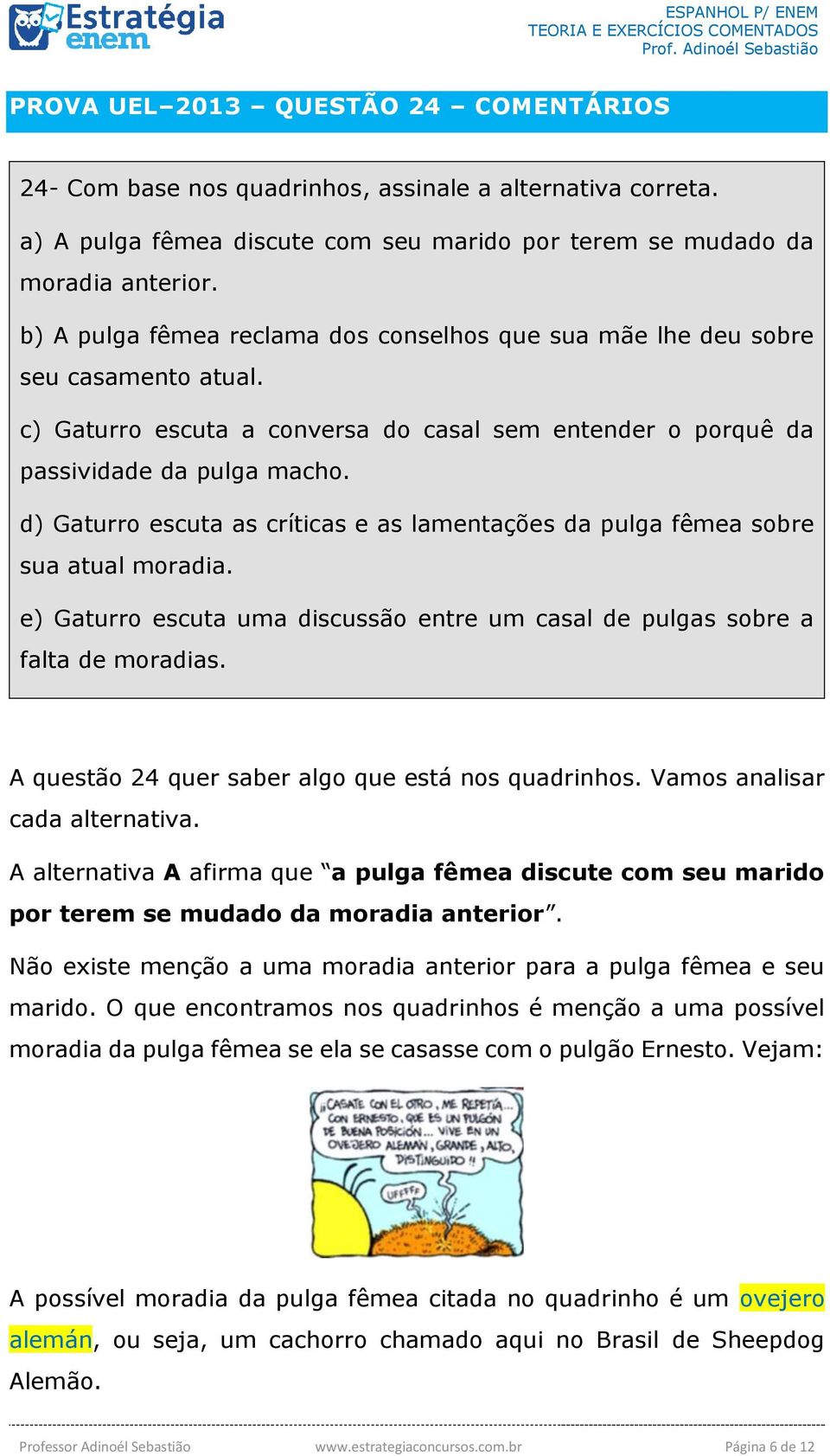 d) Gaturro escuta as críticas e as lamentações da pulga fêmea sobre sua atual moradia. e) Gaturro escuta uma discussão entre um casal de pulgas sobre a falta de moradias.