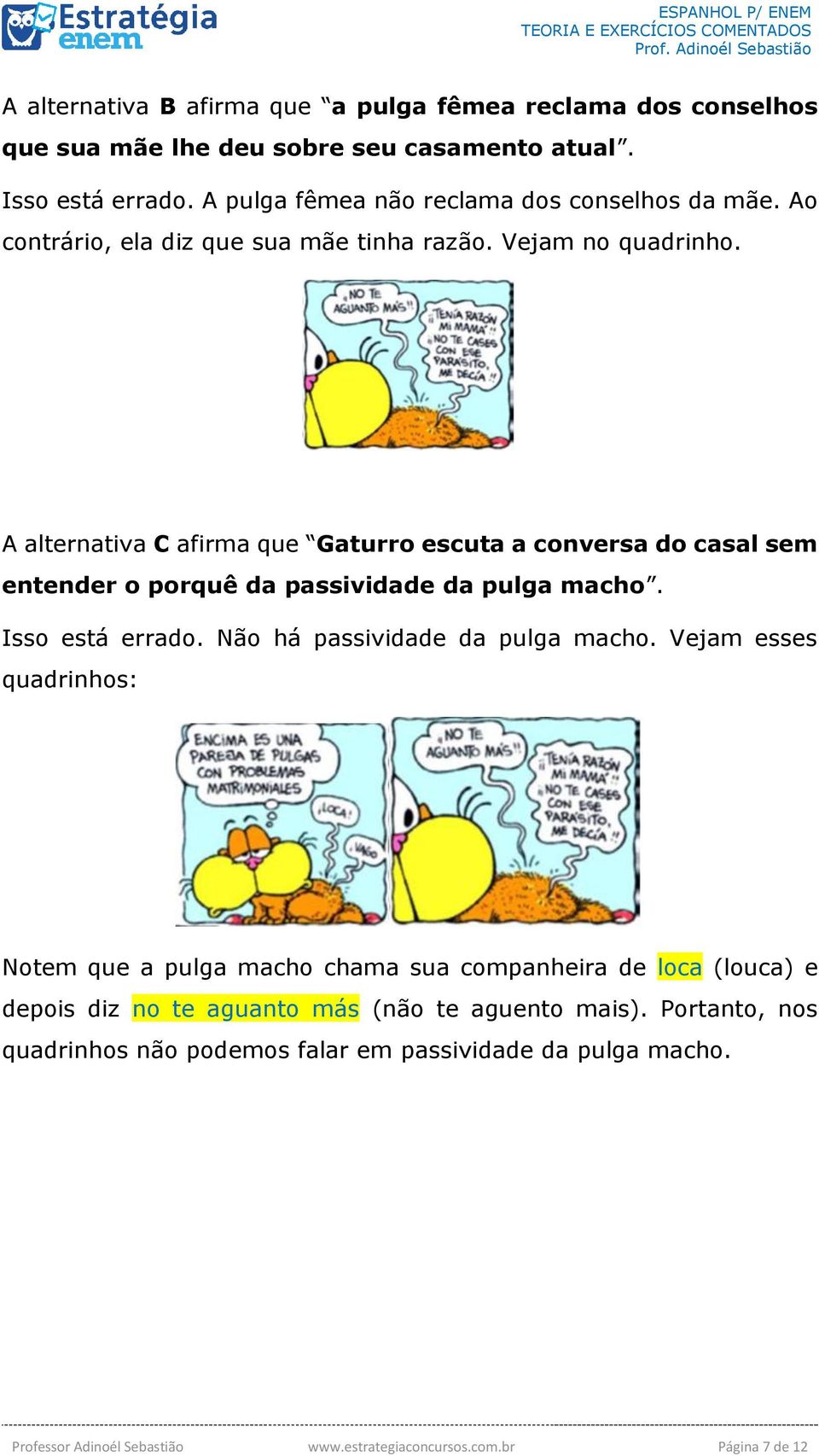 A alternativa C afirma que Gaturro escuta a conversa do casal sem entender o porquê da passividade da pulga macho. Isso está errado. Não há passividade da pulga macho.