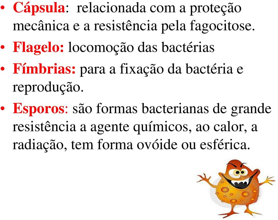 Flagelo: locomoção das bactérias Fímbrias: para a fixação da bactéria e