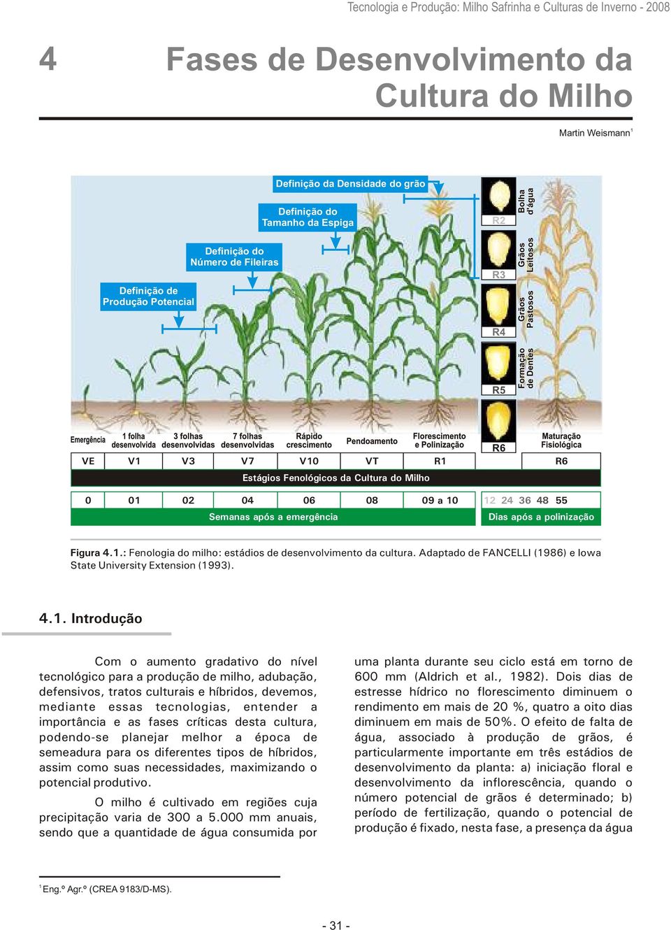 36 48 55 Dias após a polinização Figura 4.1.