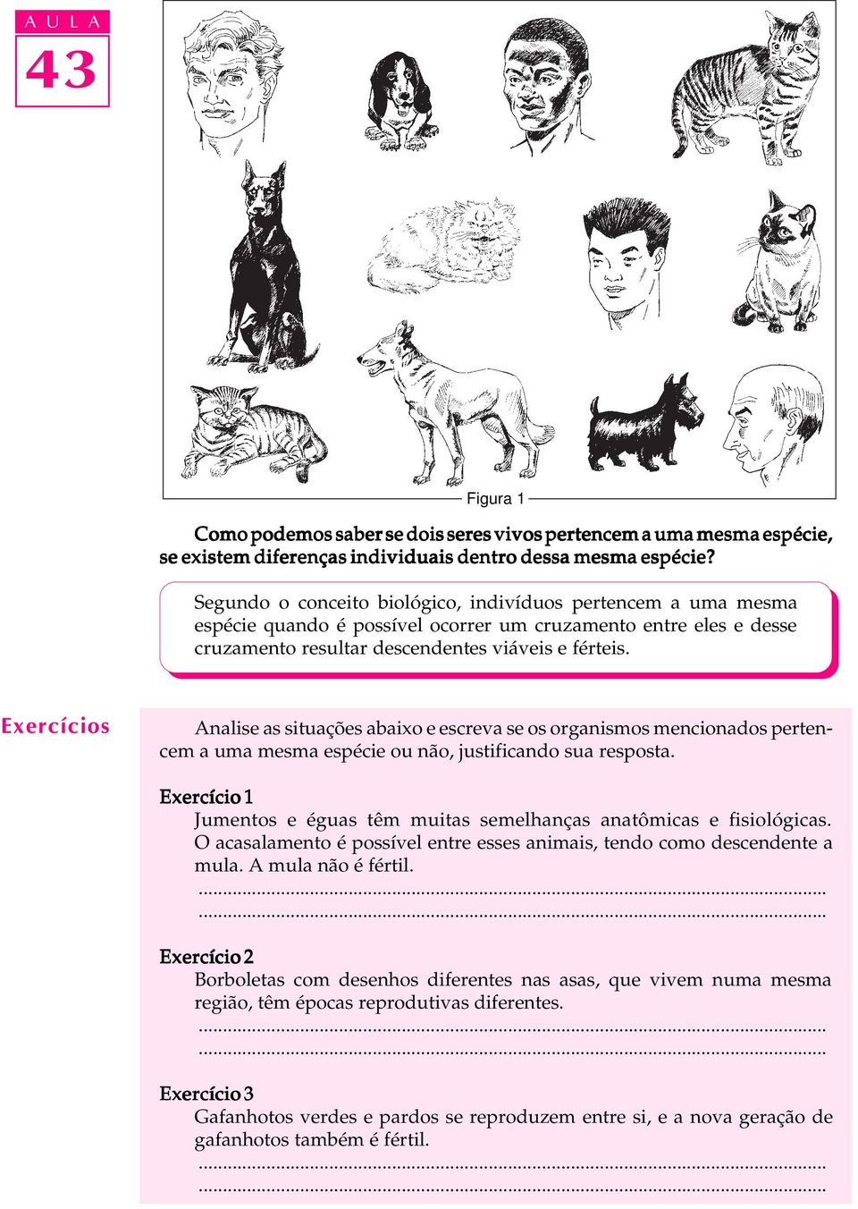 Analise as situações abaixo e escreva se os organismos mencionados pertencem a uma mesma espécie ou não, justificando sua resposta.