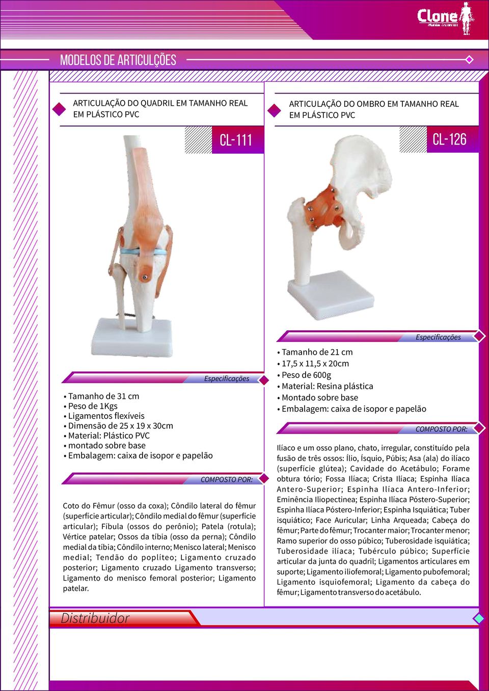 do fêmur (superfície articular); Fíbula (ossos do perônio); Patela (rotula); Vértice patelar; Ossos da tíbia (osso da perna); Côndilo medial da tíbia; Côndilo interno; Menisco lateral; Menisco