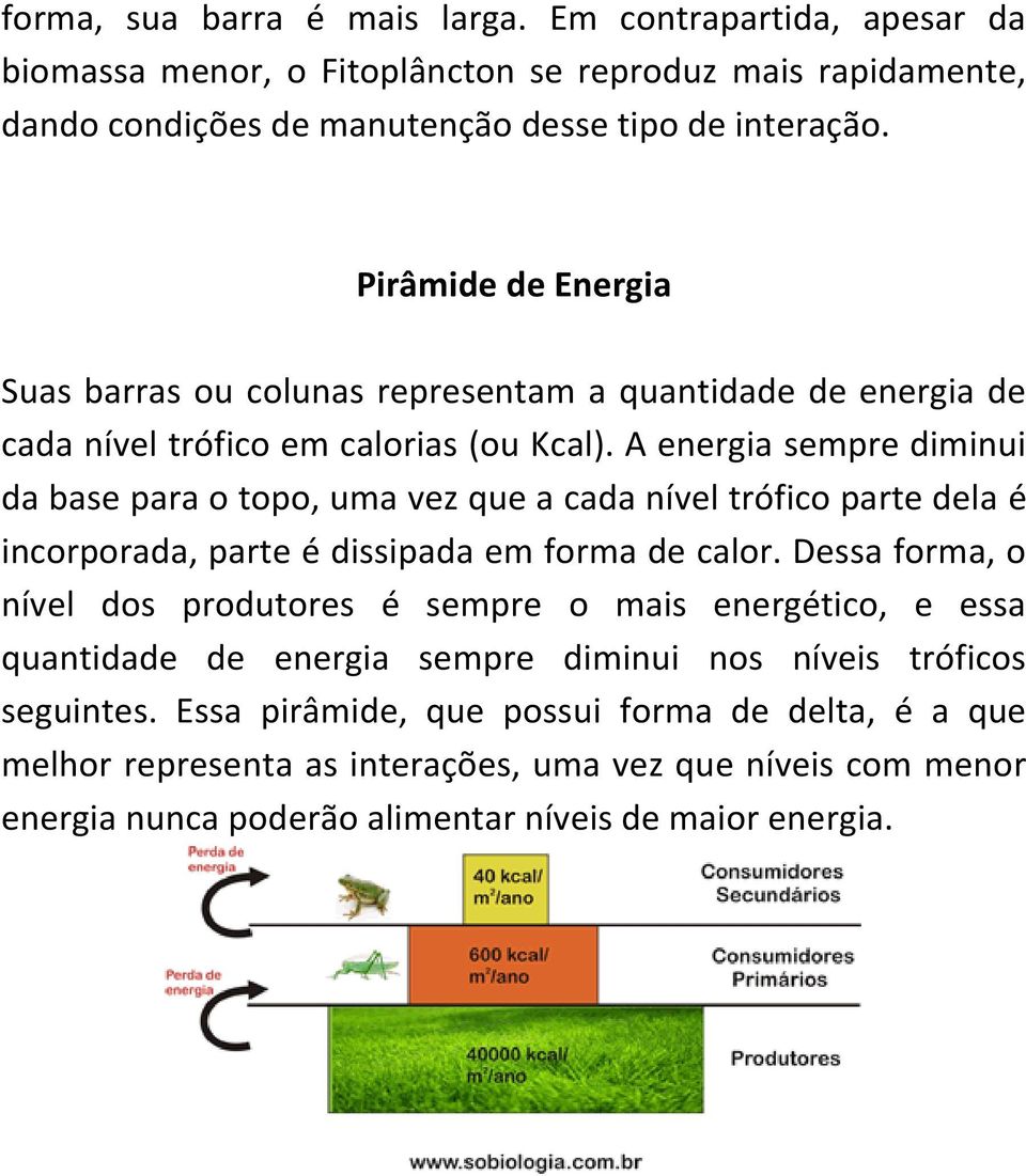 A energia sempre diminui da base para o topo, uma vez que a cada nível trófico parte dela é incorporada, parte é dissipada em forma de calor.