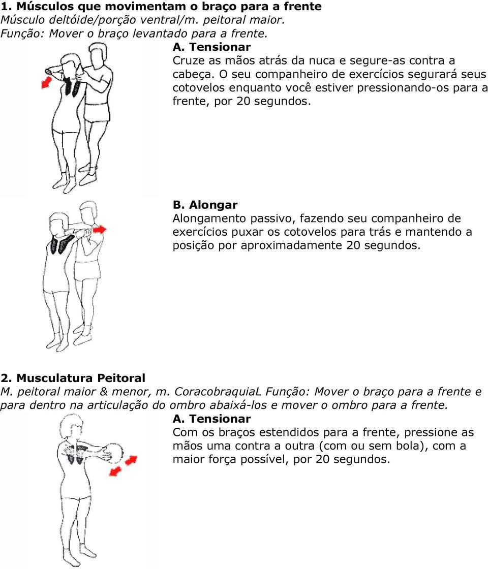 Alongamento passivo, fazendo seu companheiro de exercícios puxar os cotovelos para trás e mantendo a posição por aproximadamente 20 segundos. 2. Musculatura Peitoral M. peitoral maior & menor, m.