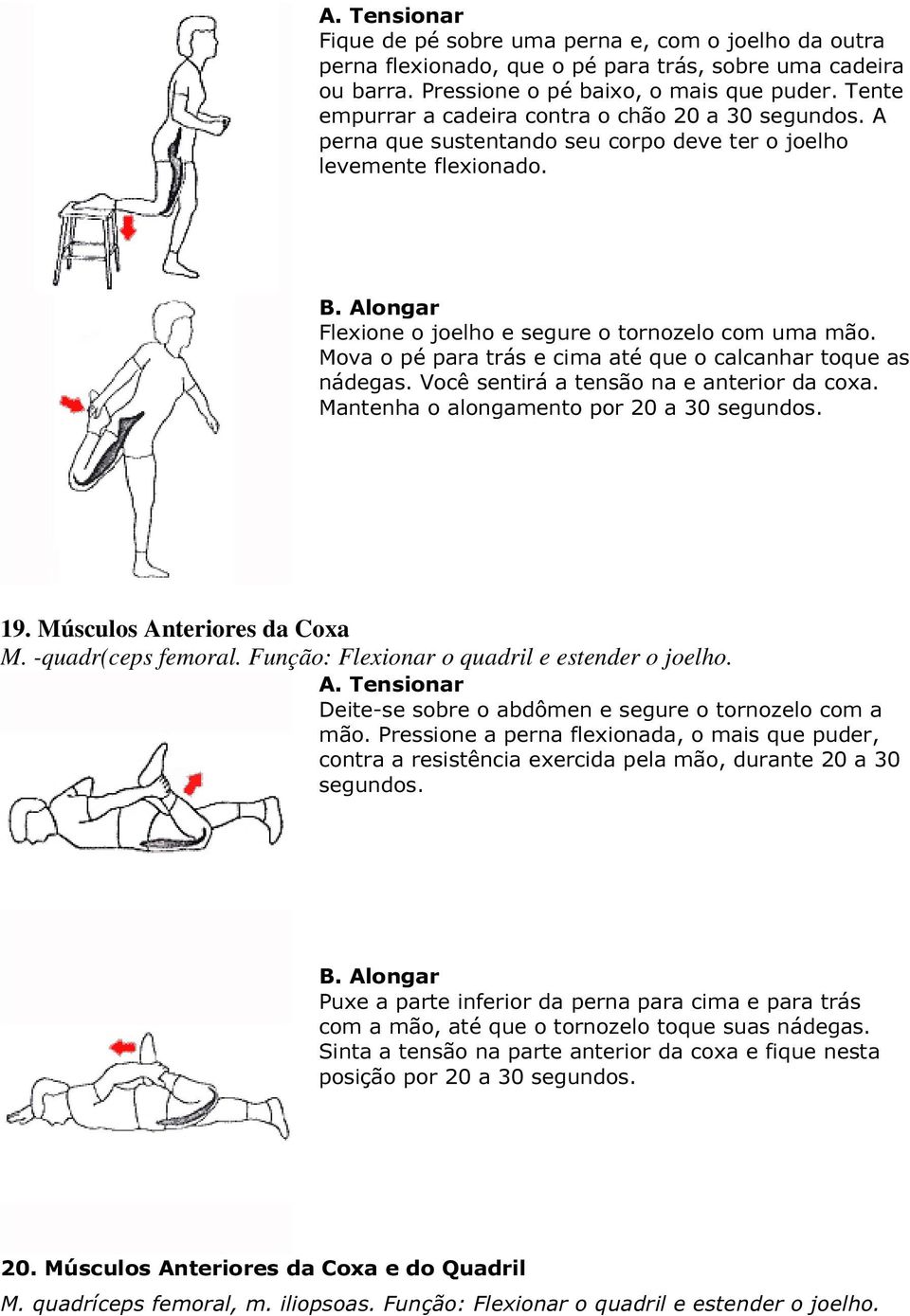 Mova o pé para trás e cima até que o calcanhar toque as nádegas. Você sentirá a tensão na e anterior da coxa. Mantenha o alongamento por 20 a 30 segundos. 19. Músculos Anteriores da Coxa M.