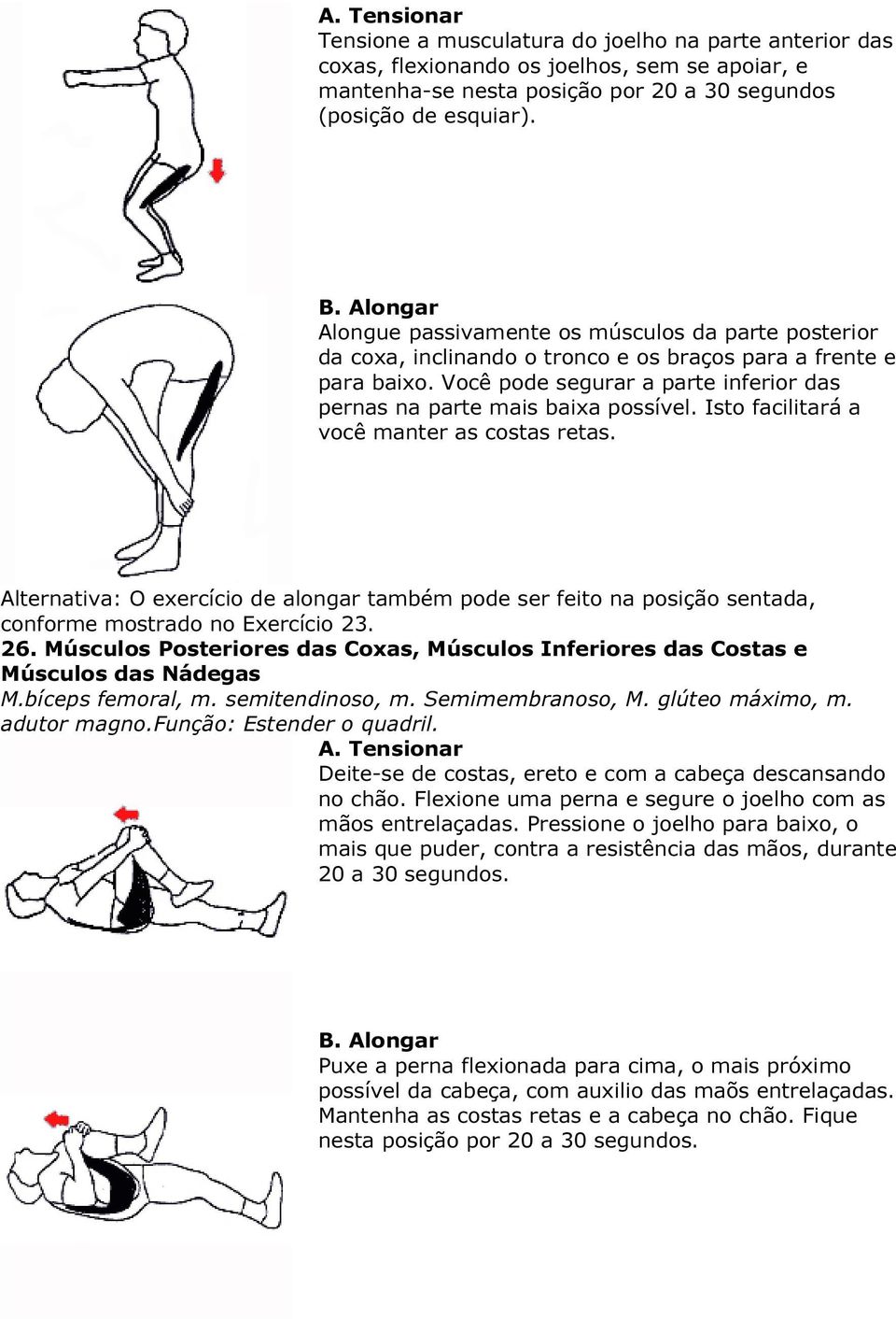 Isto facilitará a você manter as costas retas. Alternativa: O exercício de alongar também pode ser feito na posição sentada, conforme mostrado no Exercício 23. 26.