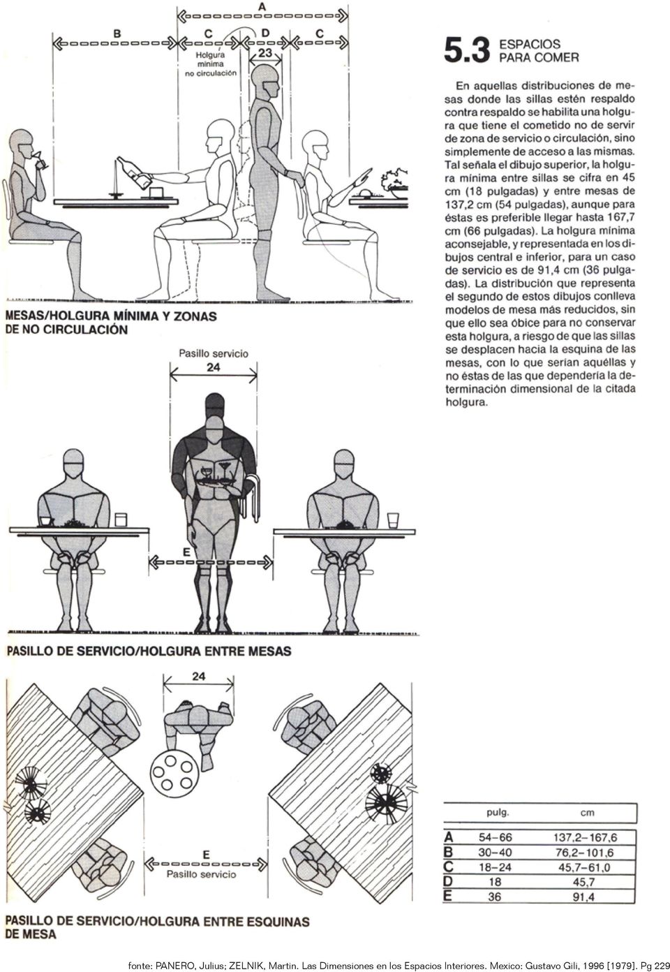 Las Dimensiones en los