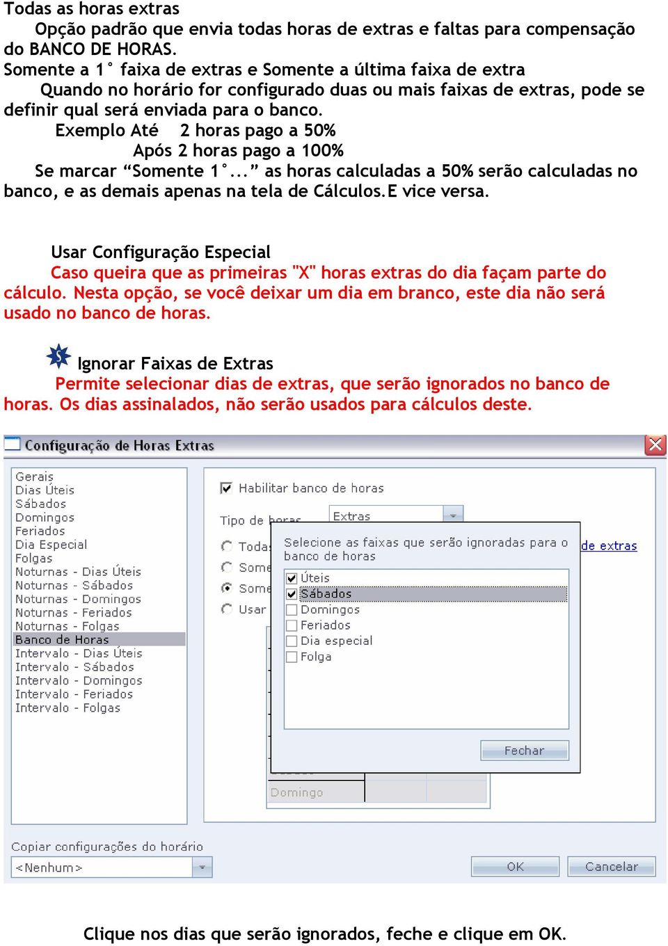 Exemplo Até 2 horas pago a 50% Após 2 horas pago a 100% Se marcar Somente 1... as horas calculadas a 50% serão calculadas no banco, e as demais apenas na tela de Cálculos.E vice versa.