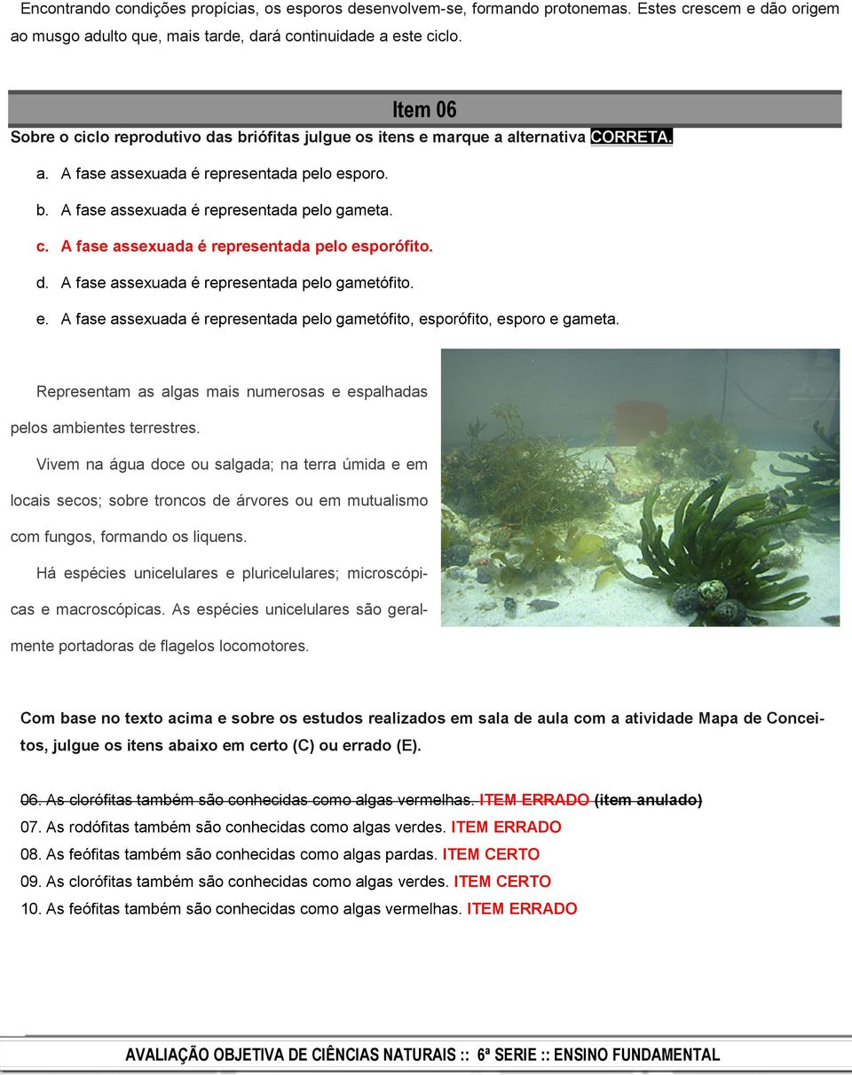 d. A fase assexuada é representada pelo gametófito. e. A fase assexuada é representada pelo gametófito, esporófito, esporo e gameta.