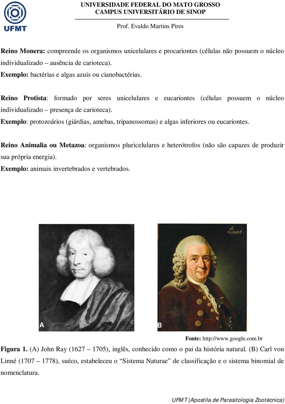 Exemplo: protozoários (giárdias, amebas, tripanossomas) e algas inferiores ou eucariontes.