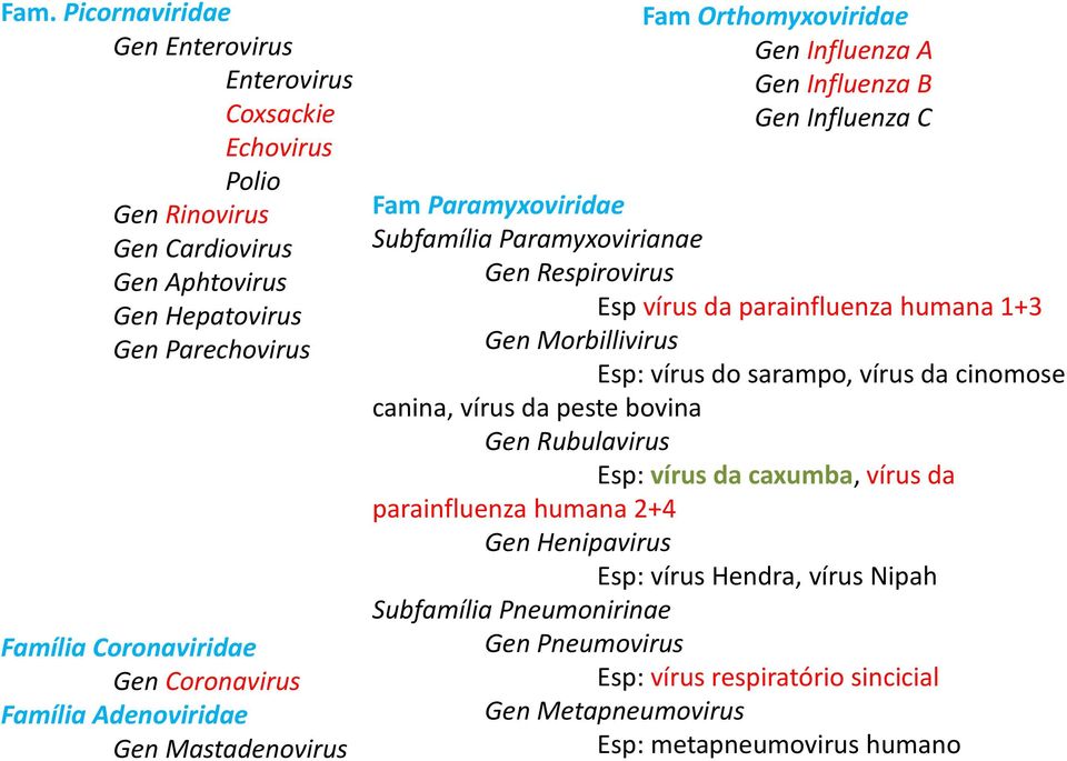 Respirovirus Esp vírus da parainfluenza humana 1+3 Gen Morbillivirus Esp: vírus do sarampo, vírus da cinomose canina, vírus da peste bovina Gen Rubulavirus Esp: vírus da caxumba,