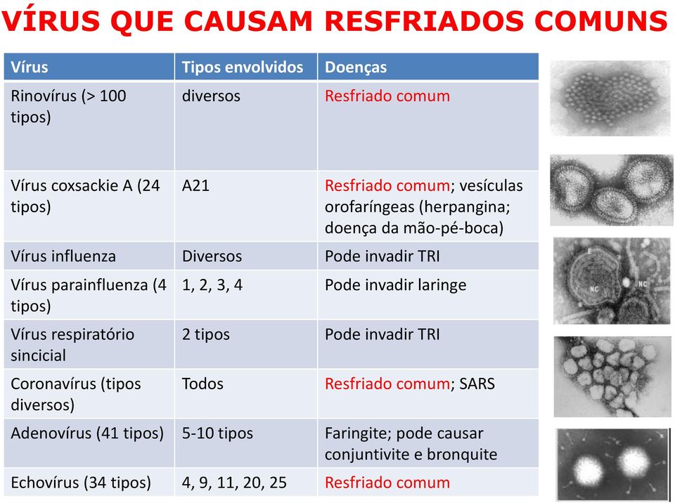 (4 tipos) Vírus respiratório sincicial Coronavírus (tipos diversos) 1, 2, 3, 4 Pode invadir laringe 2 tipos Pode invadir TRI Todos Resfriado