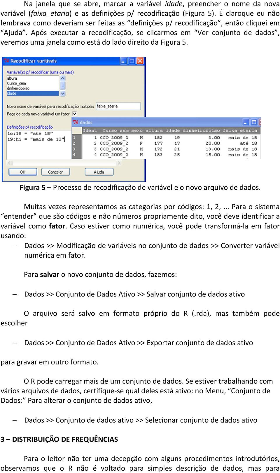 Após executar a recodificação, se clicarmos em Ver conjunto de dados, veremos uma janela como está do lado direito da Figura 5.