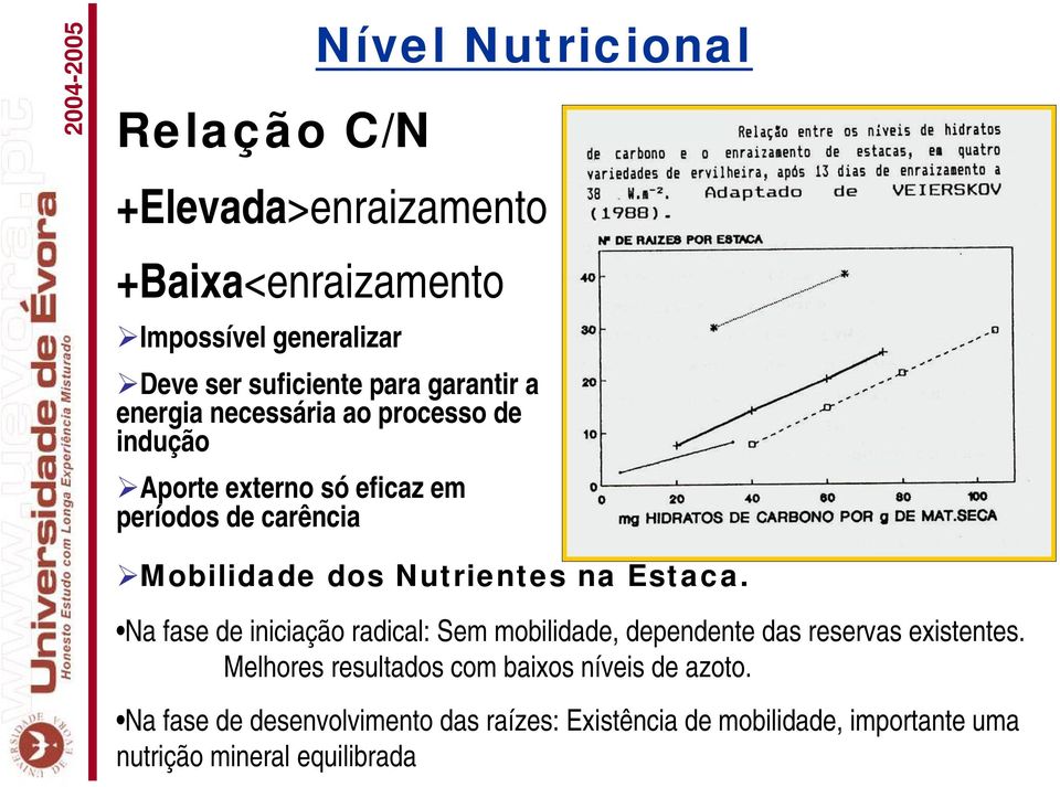 Nutrientes na Estaca. Na fase de iniciação radical: Sem mobilidade, dependente das reservas existentes.